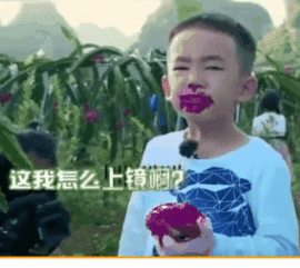 戚薇女儿lucky荣登新任表情包一姐,网友又要组团偷孩子了