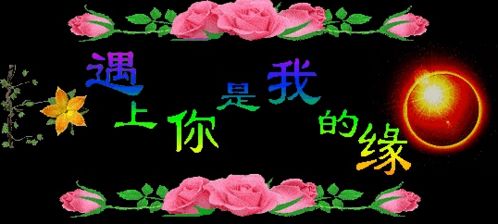 别嘲上海名媛了,拼多多高富帅装x翻车现场精彩100倍