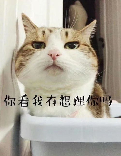 幽默笑话大哥放过我吧我这可是第一次呀