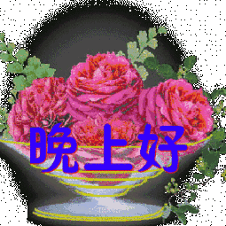晚上好动画表情包睡前温馨简短晚安问候语