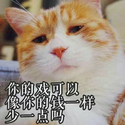 为什么很多人聊天都喜欢用猫咪表情包附最全猫咪表情包