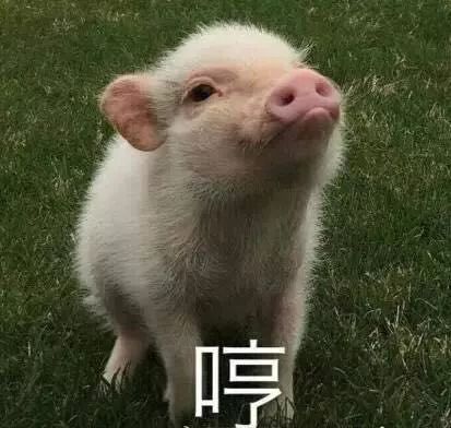 厉害了玉林城镇居民住得最宽敞,这里的人最有钱