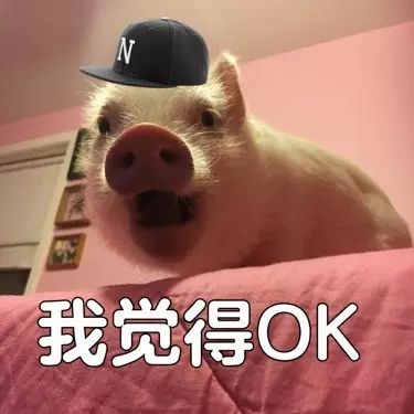 下大雨搞笑表情包看我的