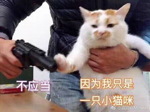 精准push何洁手机收到新闻何洁腿粗还穿短裤