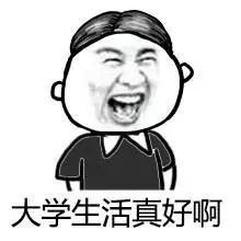 表情包珍惜这最后一次不看脸的竞争吧