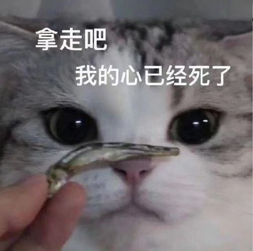 唐嫣得罪了谁15年前旧照都被爆出来,这肿成藕节的胳膊对比也太惨烈...