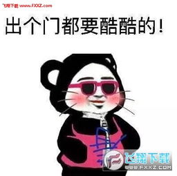 熊猫插兜系列无水印搞笑表情包熊猫插兜表情包无水印版下载飞翔下载