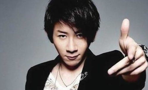 2013年,王力宏冲到春晚后台,怒扇刘谦一巴掌,当年发生了什么