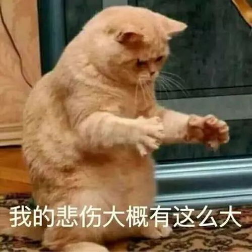 无标题