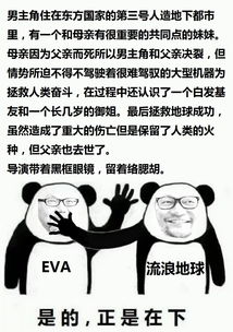 带上亲人为流浪地球贡献了4张影票