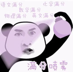 考研人的表情包,必须是这样滴