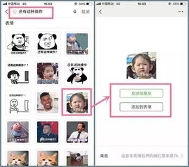 微信用了这么多年,竟然还不知道有个功能这么好用