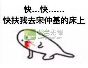 不要用ps做不专业用photoshop做表情包聊天斗图表情资源包无水印版软件下载