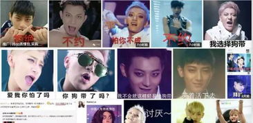 帝吧出征,寸草不生,这场表情包大战林更新签收10万红粉,黄子韬成功刷脸