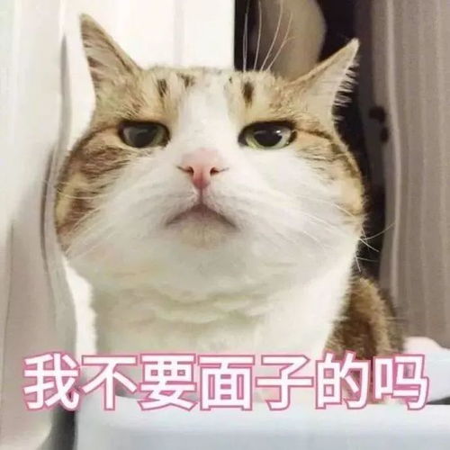 三级预警天鹅明日进入南海琼岛将迎暴雨大暴雨