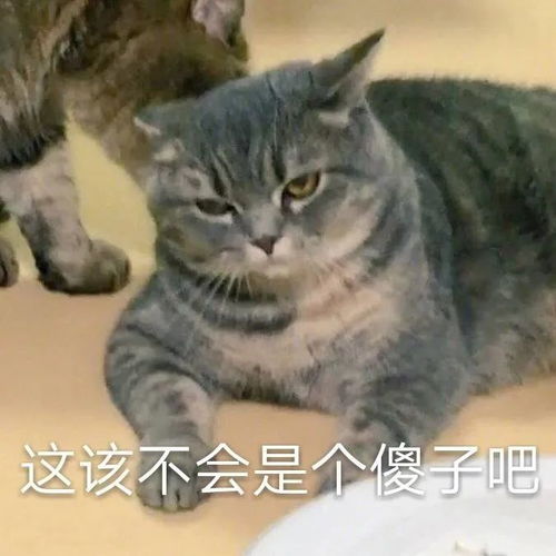 表情包进入委屈模式