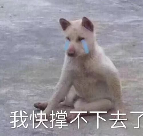 各位女生注意啰冬季懒人穿衣模板来啦多睡十分钟不是梦