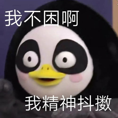 四种代码洁癖类型,程序员看了直呼内行