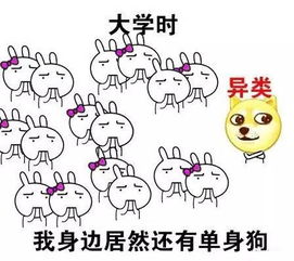 做了一辈子异类,终于
