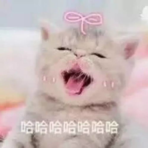 斗图丨大家都是明白人附资源