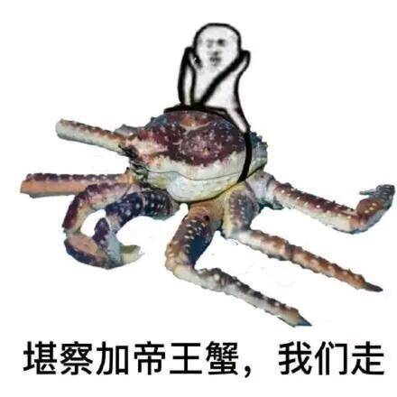 昨天我妈买了一盆大闸蟹,说要蒸给我吃,结果...