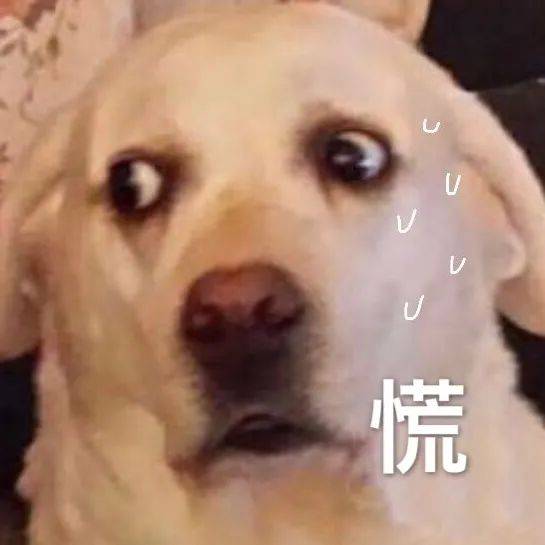 单身狗老得快危害不止这一个脱单勿看