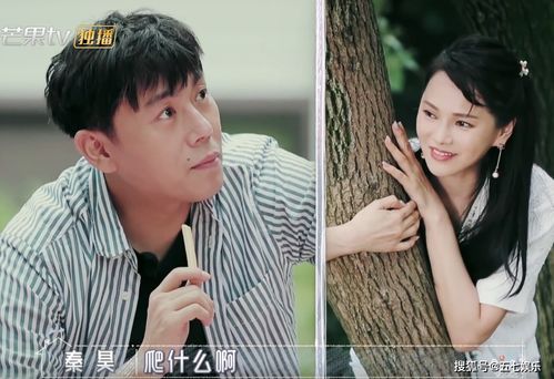 52岁伊能静爬树,婆婆全程担心,秦昊的表情暴露夫妻真实感情