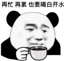 无水印熊猫头专用表情包需不需要我这样的女朋友