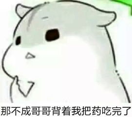 求qq里很萌的仓鼠表情包,太可爱了w