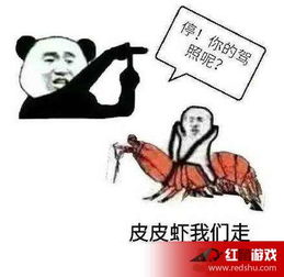 皮皮虾为何突然火了皮皮虾怎么火的