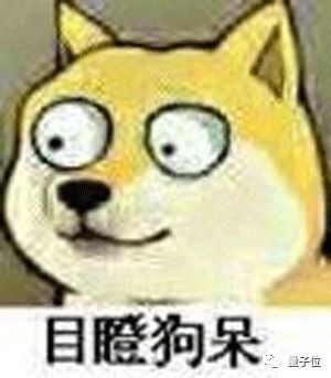 铲个屎都这么硬核小哥用姿势检测模型,搞了个狗粑粑探测摄像头