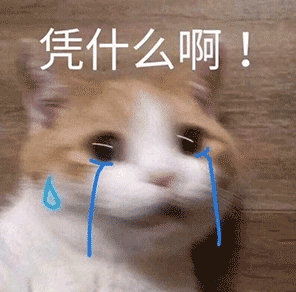 555黎叔叔好可怜啊