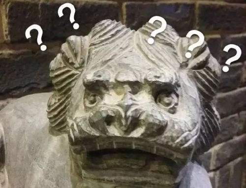 污问号表情包血翡翠