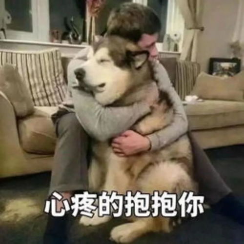 表情包该说不说,讲究