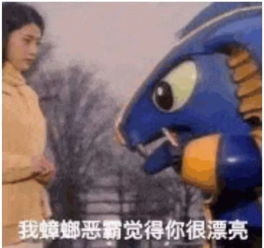 啪秘还记得你们是怎么认识的吗