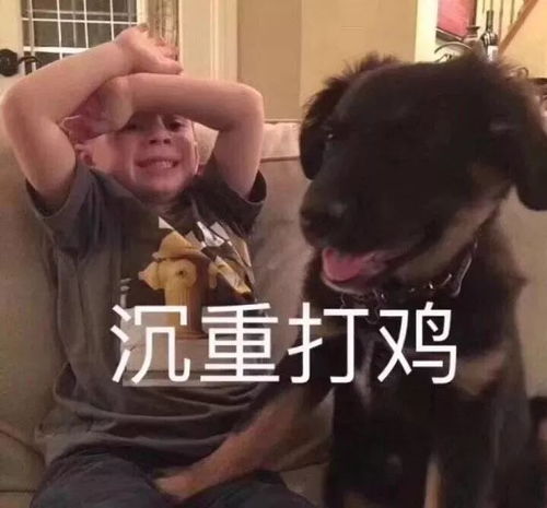 和爸妈聊天千万别发表情包你压根猜不到他们会理解成什么哈哈哈哈哈哈哈哈哈