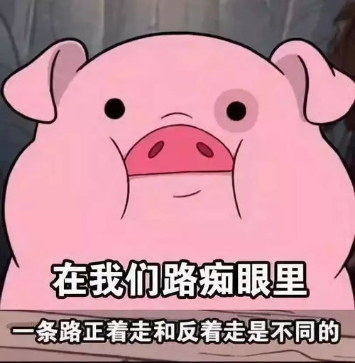 皮皮猪表情包图片猪小屁