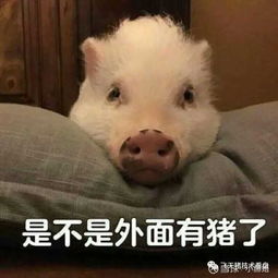 myz相关黄金稀土农业人民币贬值
