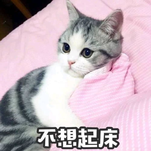 开心一刻笑话昨晚吃坏肚子了,今天坐长途客车我坐在前排