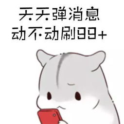 这样的男朋友请给我来一打