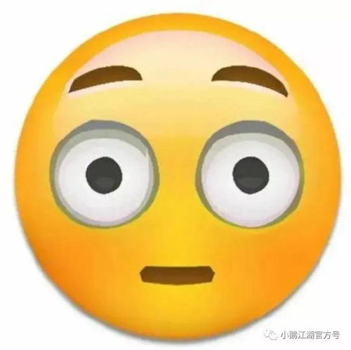 小鹅和春节的那二三事