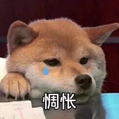 深圳人又添新去处啦抽空也要去这周五还有好消息,别说没告诉你