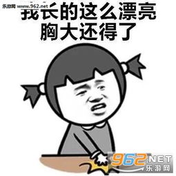我胸小怎么了表情包下载乐游网游戏下载