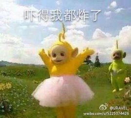 类似这样的表情