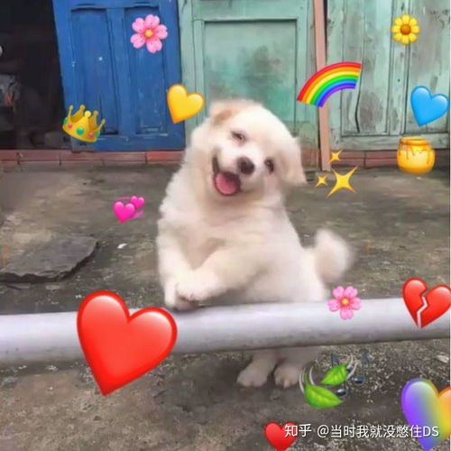 被惯坏了的孩子后来知道自己被惯坏了吗