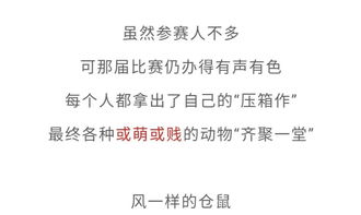 2019迎国庆国家地理废片大赛出炉40张黑历史被6万网友制成表情包,动物看了想打人