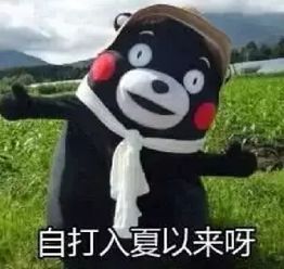 惊艳杭州色彩斑斓的夏天