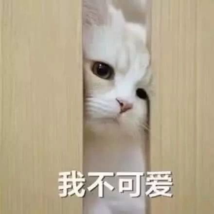 开心一刻脑子真是个好东西,怎么我有时侯会没有呢
