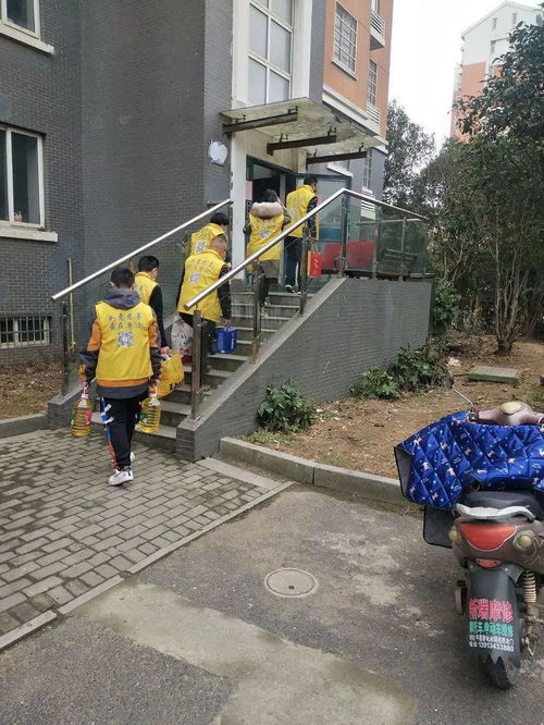 在干嘛镇江新区一群身穿黄马甲的人们,拎着大包小包去......