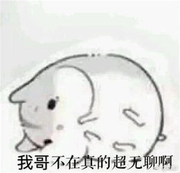 不准靠近我哥奶气